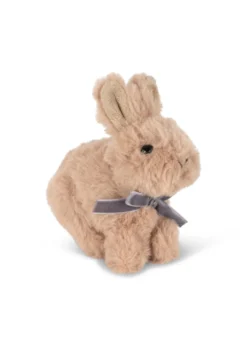 BABY ANIMALS - brown bunny