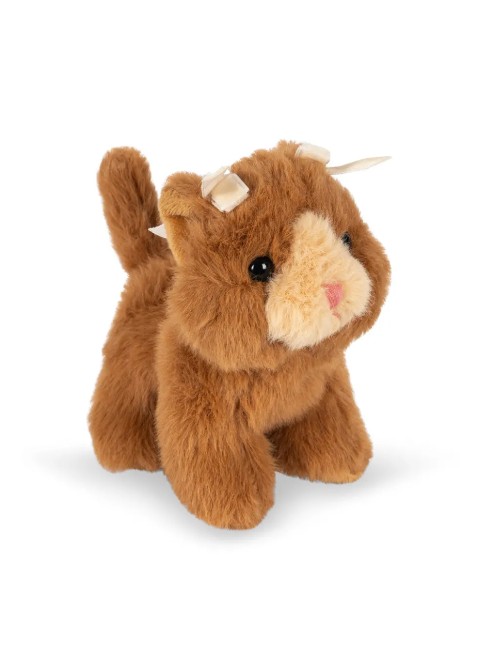 BABY ANIMALS - brown cat