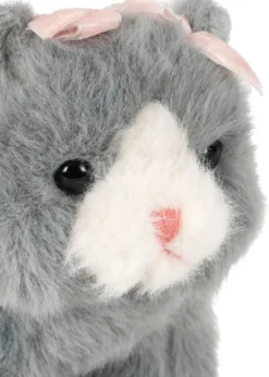 BABY ANIMALS - grey cat