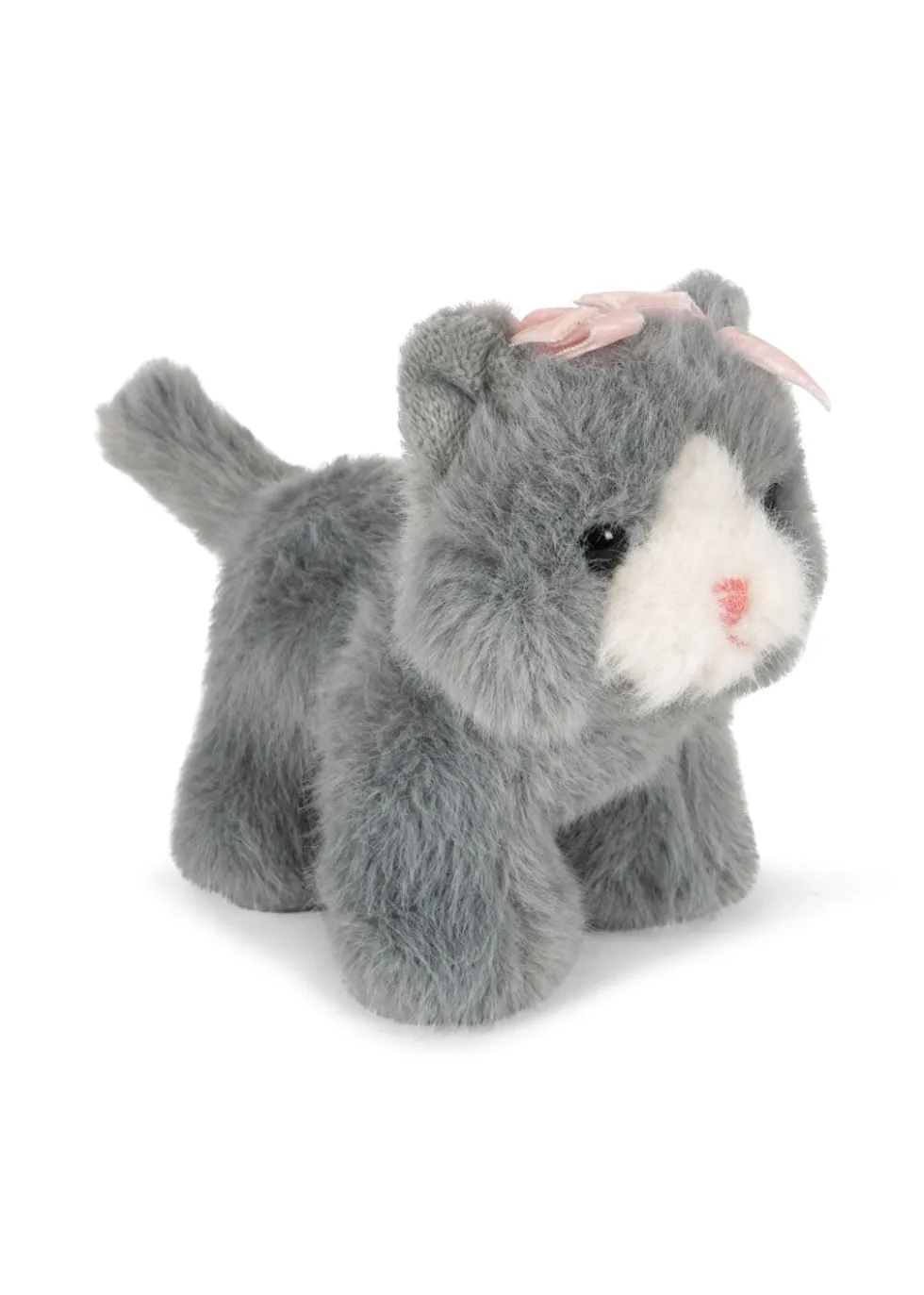 BABY ANIMALS - grey cat