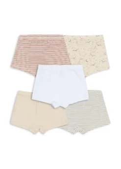 Basic 5 Pak Boxers - multi