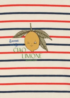 BASIC SÆT - tricolore stripes