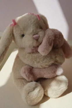 BUNNY HUGS - bunny