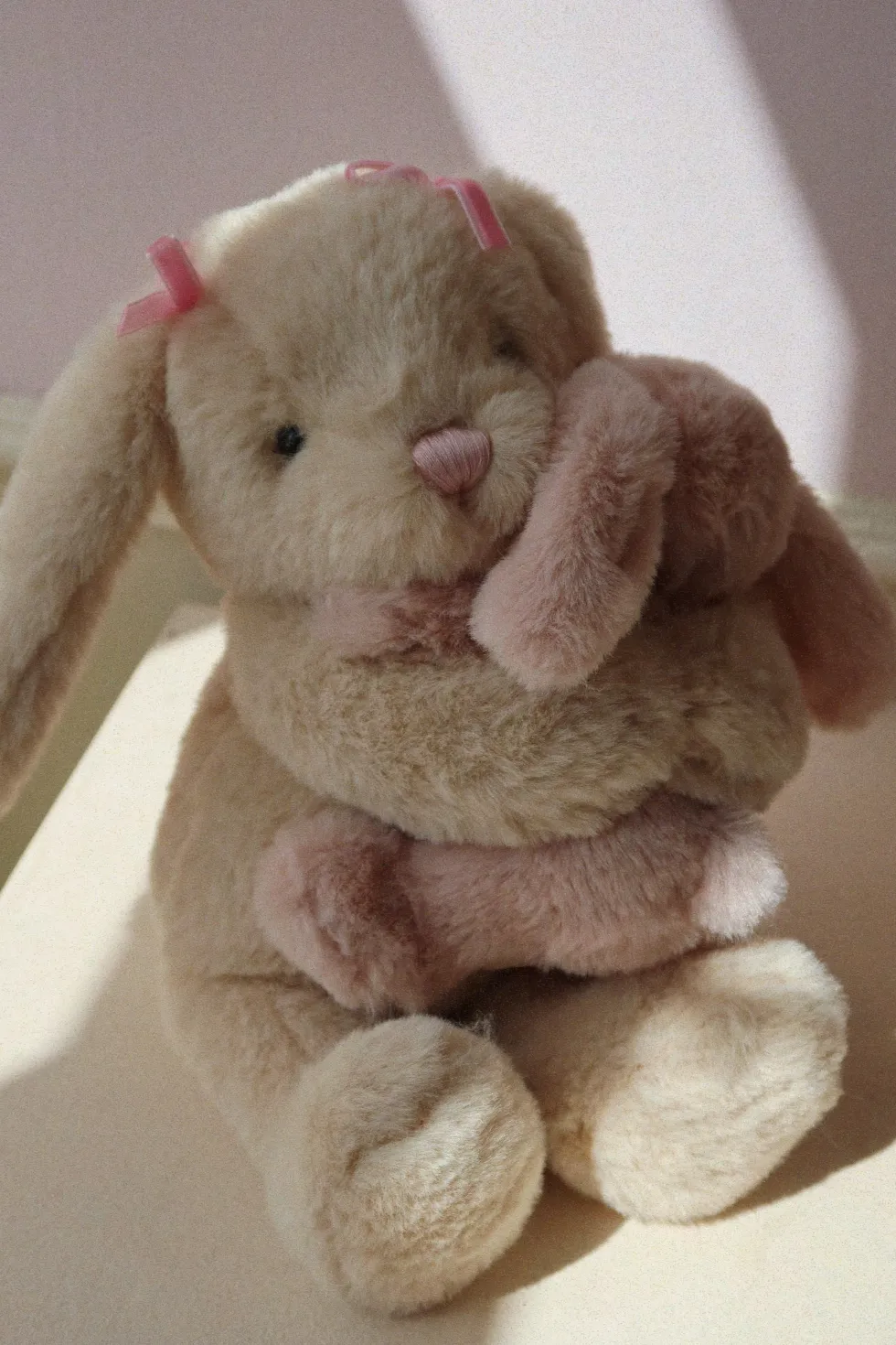 BUNNY HUGS - bunny