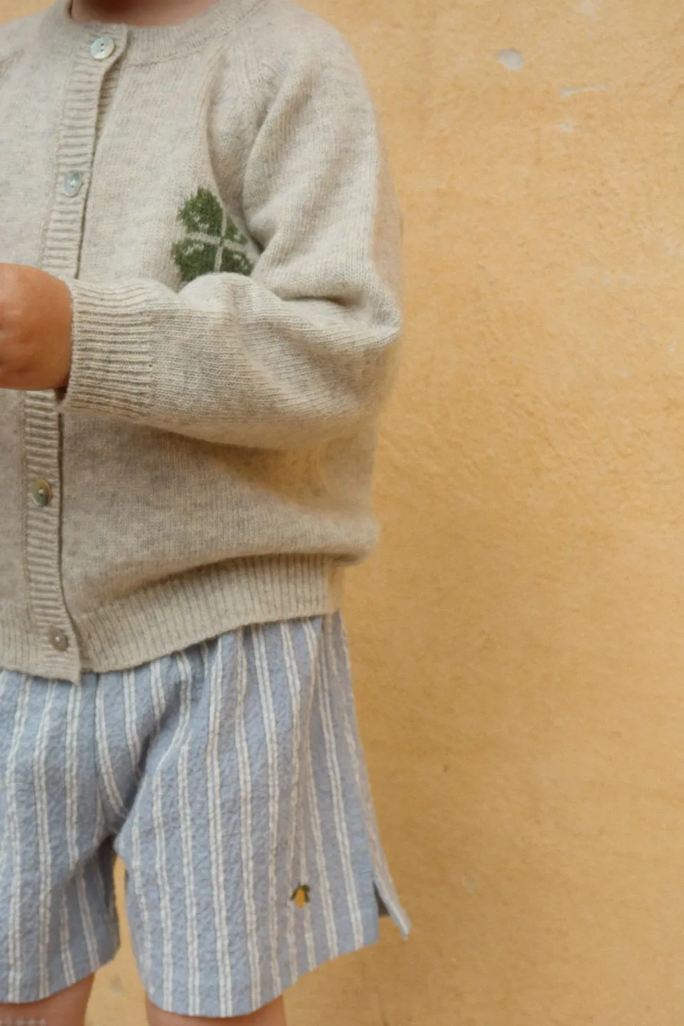 Elliot Shorts - trio bleu stripe