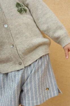 Elliot Shorts - trio bleu stripe