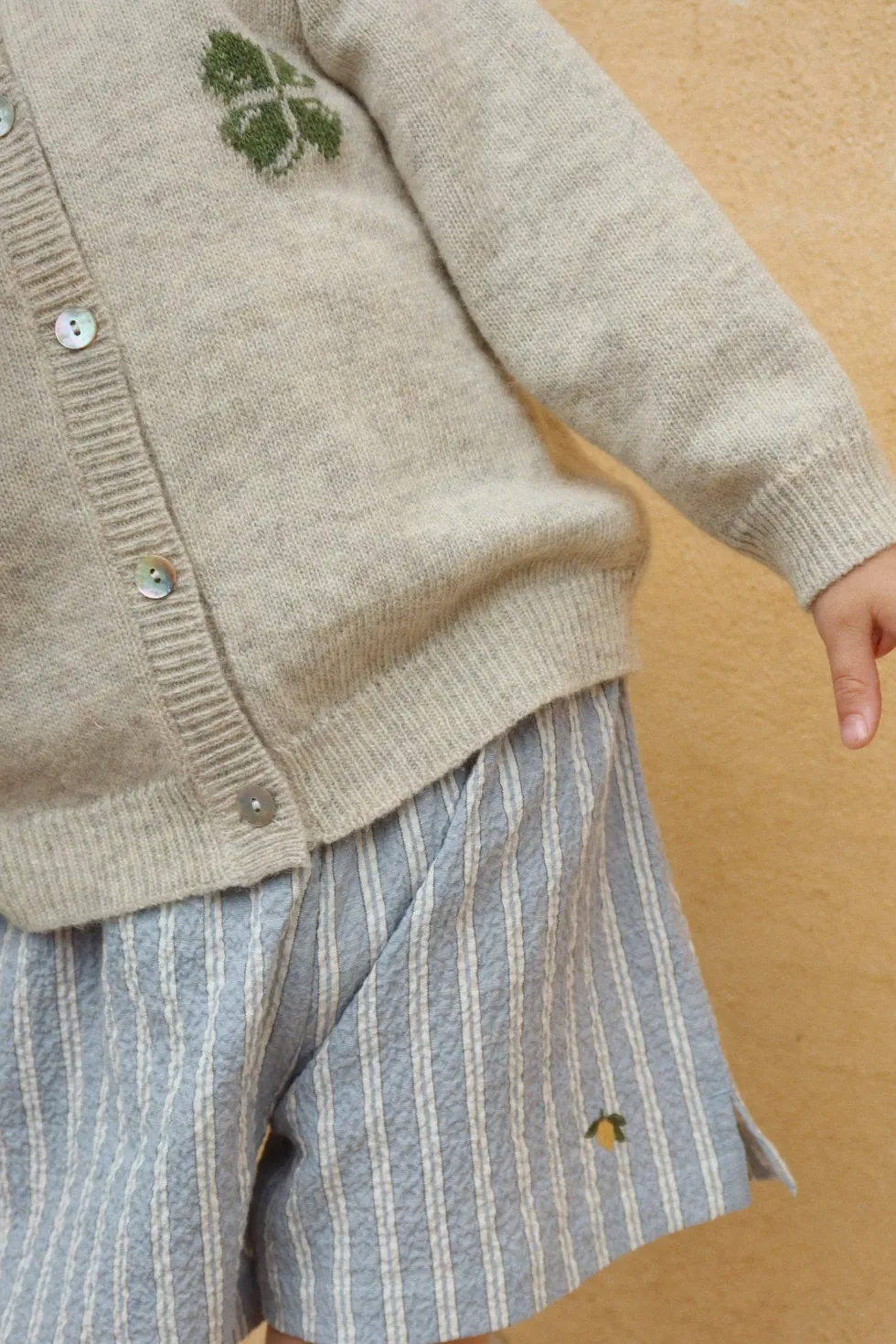 Elliot Shorts - trio bleu stripe