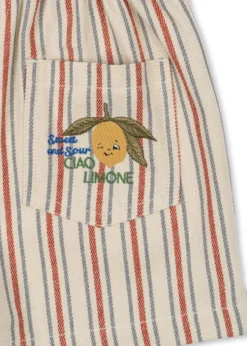 FRANKIE SHORTS - stripe winds