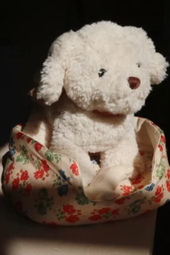 Hundehvalpen Madeleine - fiola
