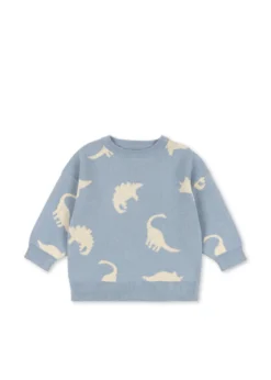 Lapis sweater - dino mist