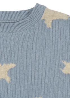 Lapis sweater - dino mist