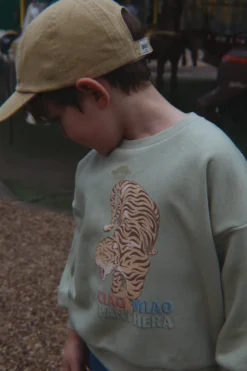 Lou Sweatshirt - sage