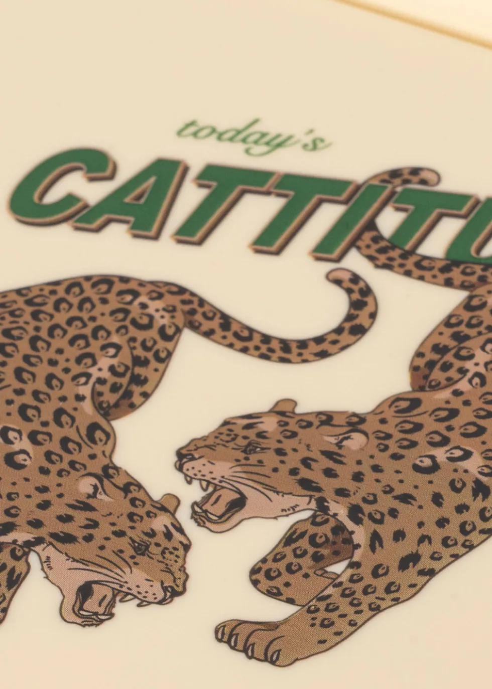 Madkasse - cattitude