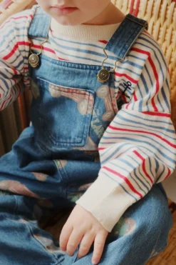 Manis sweater - antique stripe