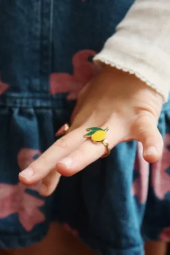 12 pak fingerringe - multi color
