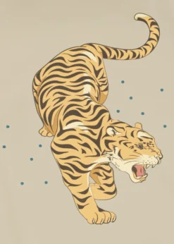2 Pak Hagesmæk - tiger ruggito
