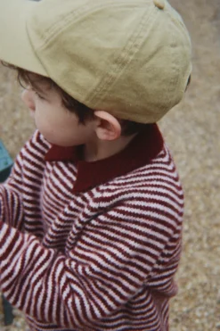 PIPO POLO - mahogany stripe