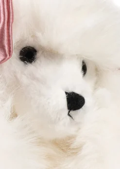 Spitz Hundehvalp - beige