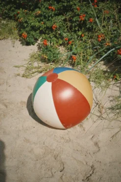 SWIM RING AND BEACH BALL SET - multi