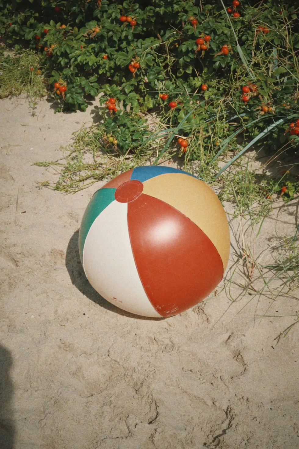 SWIM RING AND BEACH BALL SET - multi