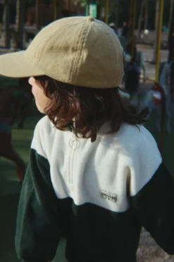 TAVI HALF ZIP - scarab