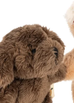 TINY TEDDY BEST FRIENDS - green stripe