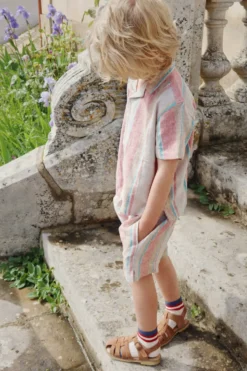 Venice shorts - stan stripe