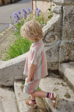Venice shorts - stan stripe