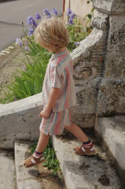 Venice shorts - stan stripe